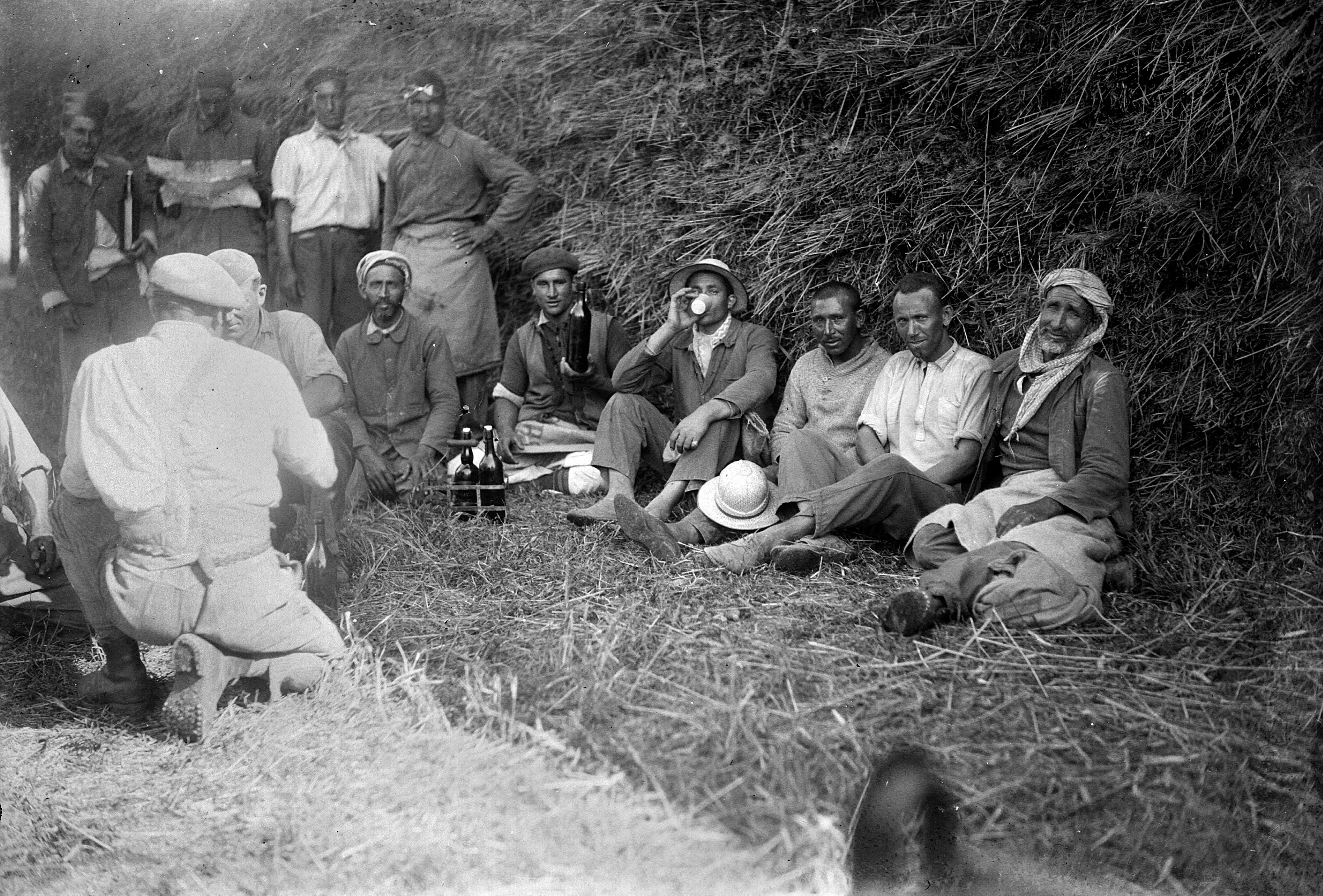 Ouvriers agricoles nord-africains faisant la moisson en France, vers 1939