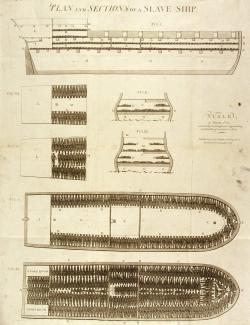 Le plan d'un bateau négrier, symbole du mouvement abolitionniste