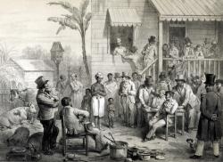 Le rétablissement de l'esclavage en Guyane (1802)