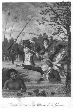 Révoltes armées d'esclaves en Guyane