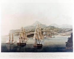 Au fond de la baie, deux frégates françaises[1], la Girafe et la Nourrice, ainsi qu’un navire marchand armé, se sont embossés à toucher la terre.
