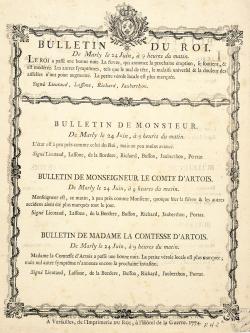 Le roi danse : Louis XIV et la mise en scène du pouvoir absolu - Histoire  analysée en images et œuvres d'art