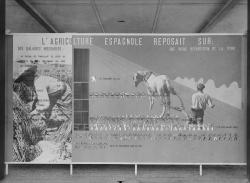 Exposition universelle Paris 1937 : panneau sur l'agriculture espagnole