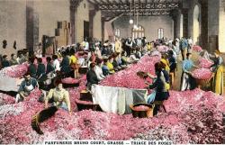 Le travail ouvrier au travers des cartes postales