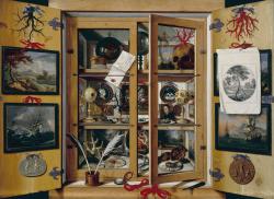 Cabinet de curiosité - Domenico Remps