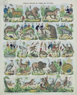 Les animaux de la ménagerie du Jardin des Plantes représentés dans les images d’Épinal