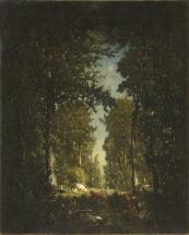 Une avenue, forêt de l'Isle-Adam.