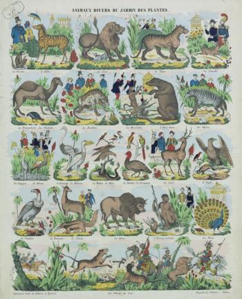 Les animaux de la ménagerie du Jardin des Plantes représentés dans les images d’Épinal - 