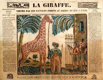 La Girafe, visitée par les sauvages indiens au jardin du roi à Paris - 