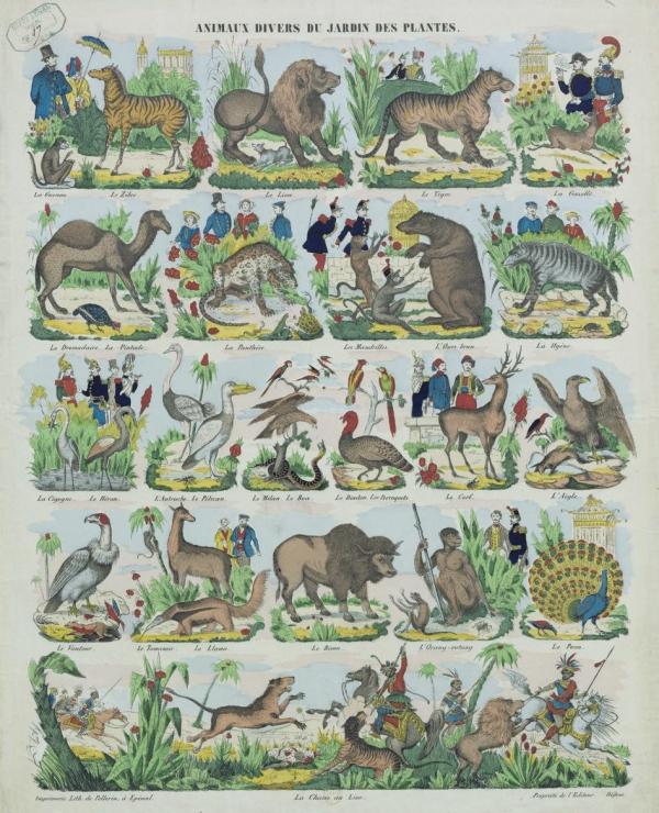 Animaux divers du Jardin des plantes (planche de 1854)