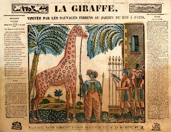 La Girafe, visitée par les sauvages indiens au jardin du roi à Paris